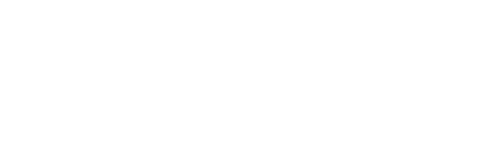 CNI - Logo